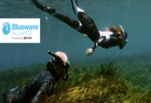 bluewave_event